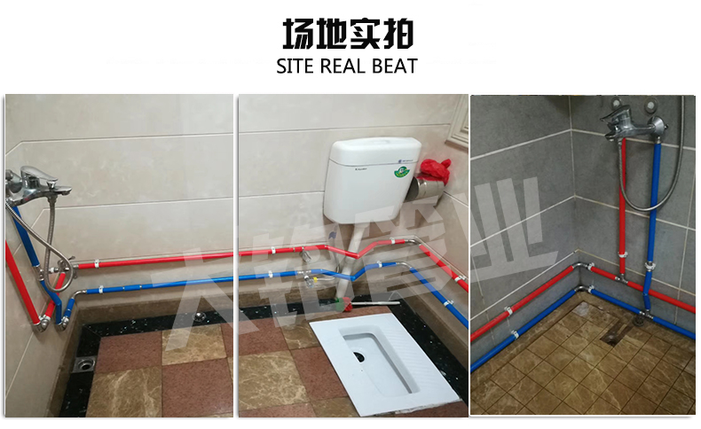 316L环压香蕉视频污下载水管