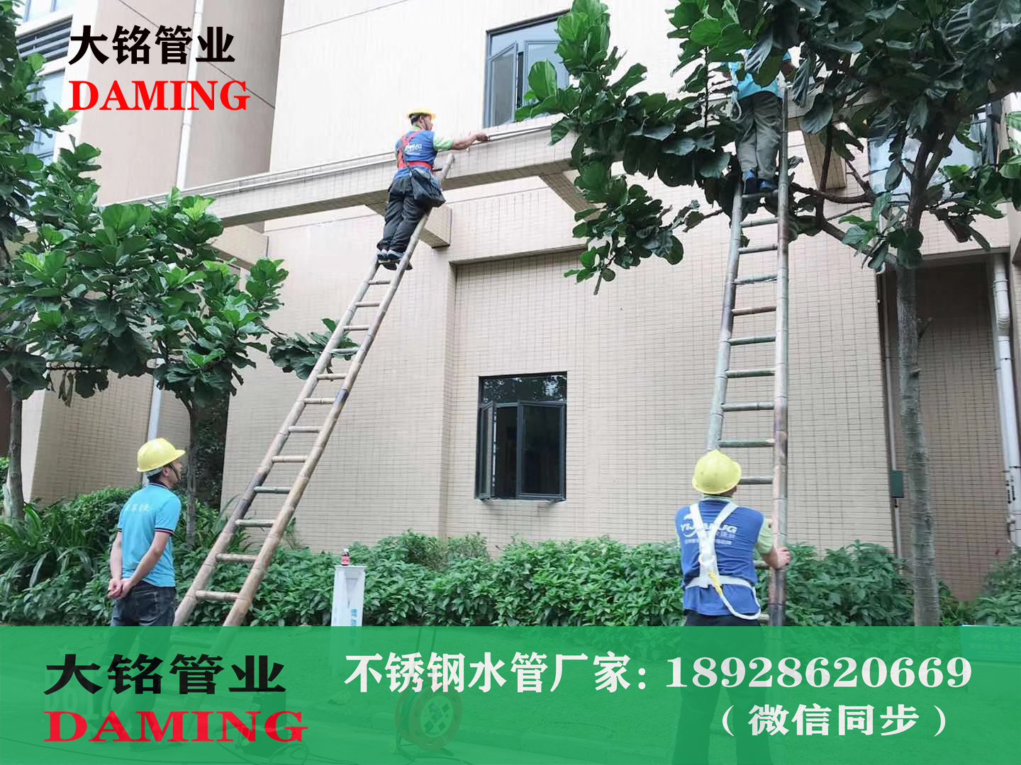 香蕉视频污下载环压式短管直通