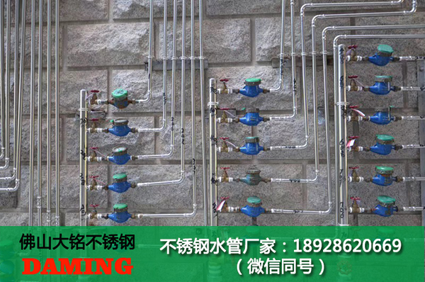 香蕉视频污下载外牙弯头