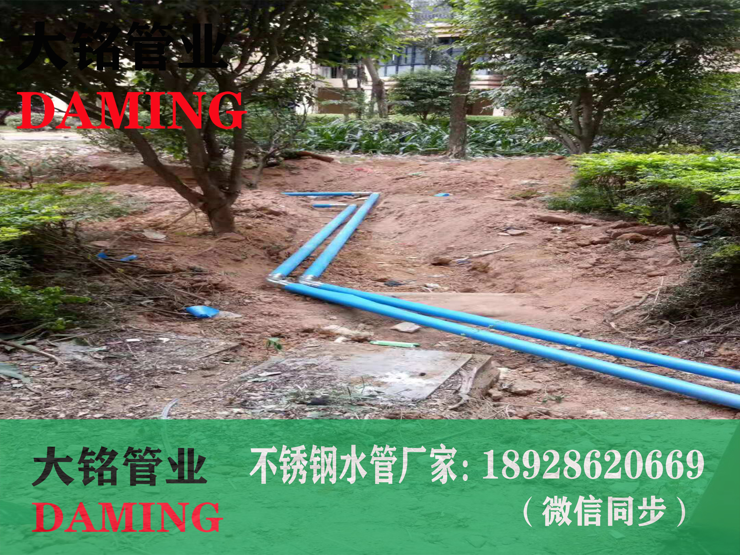 304香蕉视频污下载环压91黄色香蕉视频