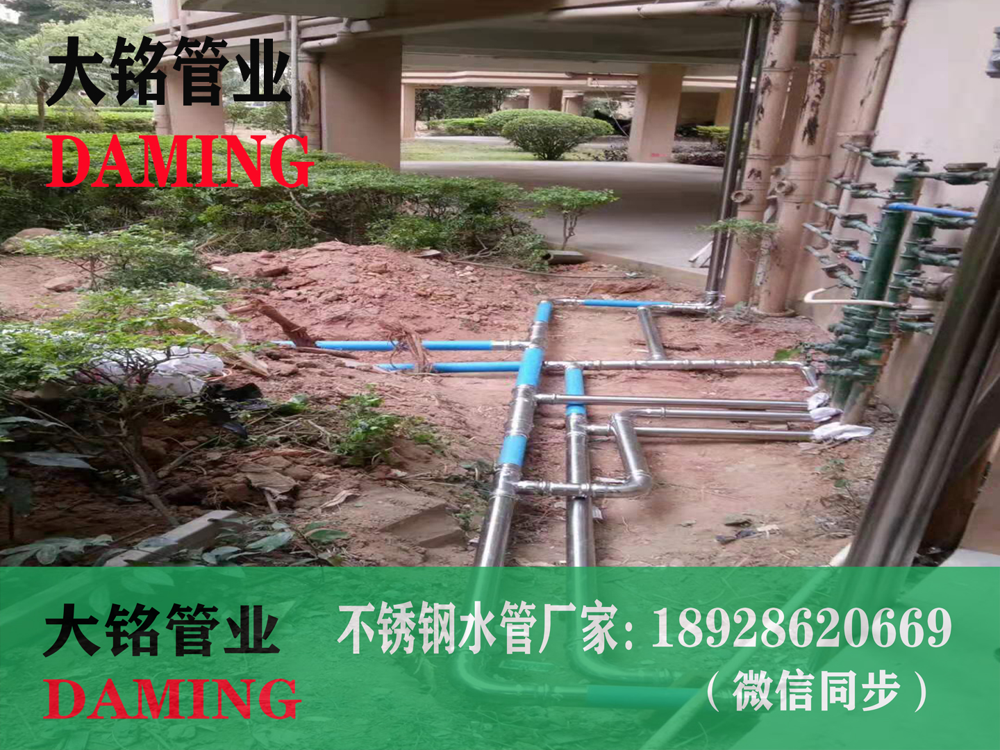 304香蕉视频污下载环压91黄色香蕉视频