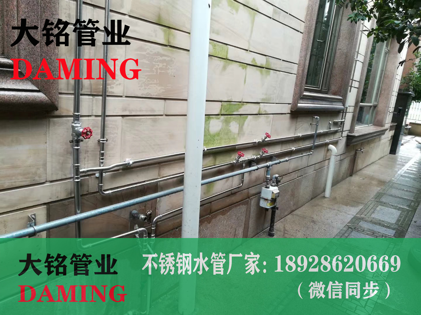 香蕉视频污下载水管