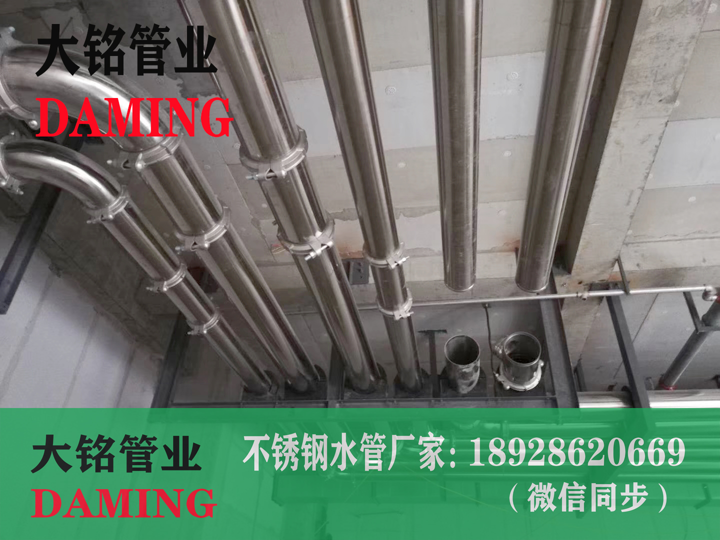 奥氏体卫生级香蕉视频污下载水管