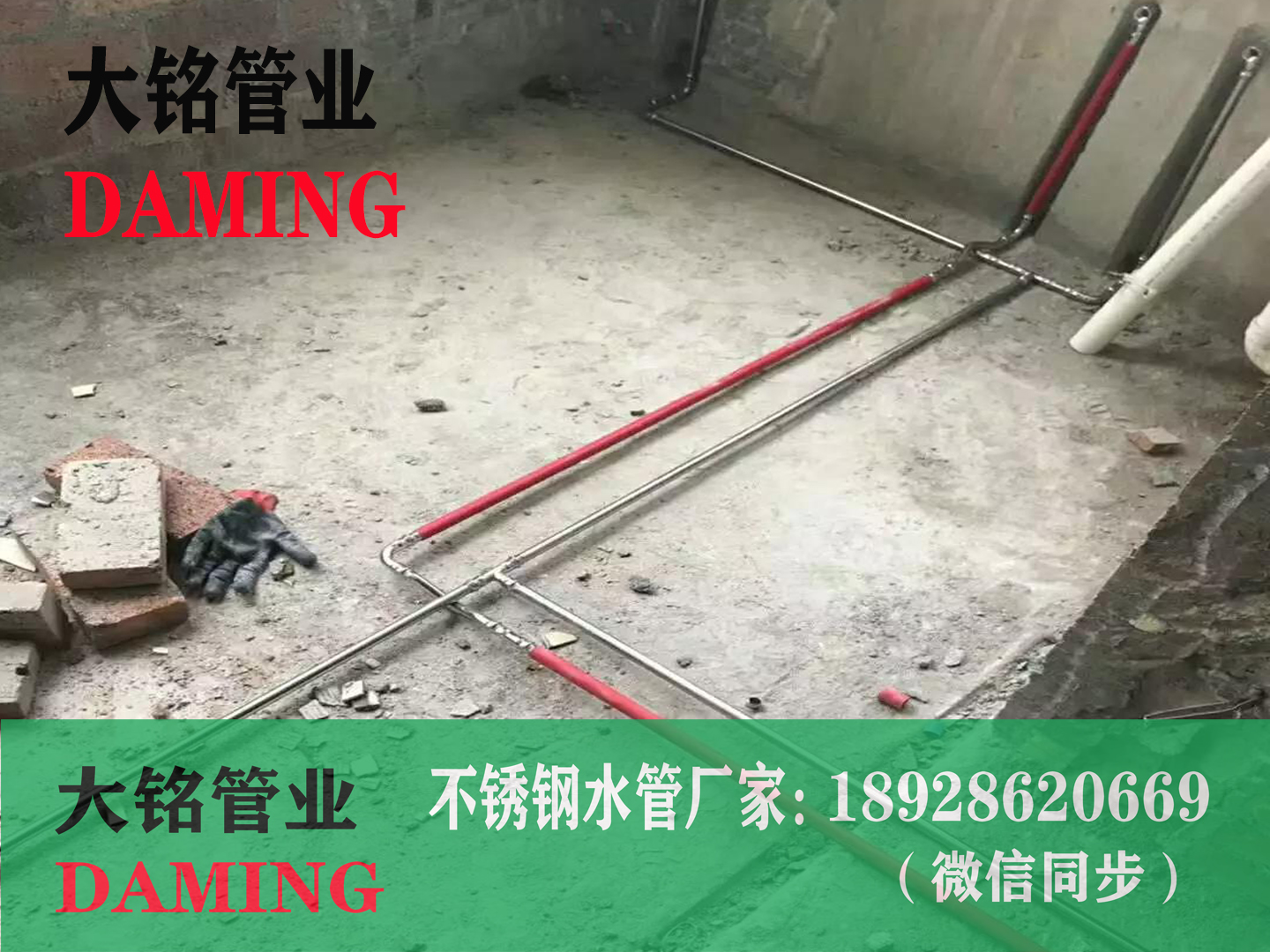 广东双卡压91黄色香蕉视频