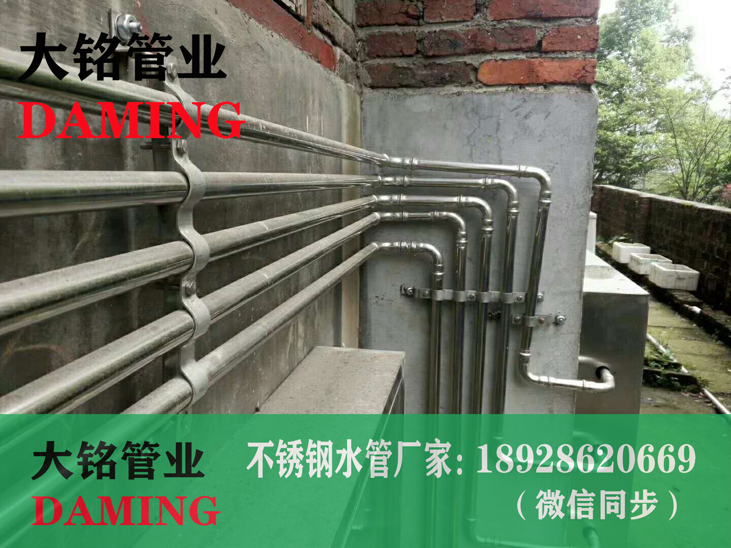 香蕉视频污下载卫生级管